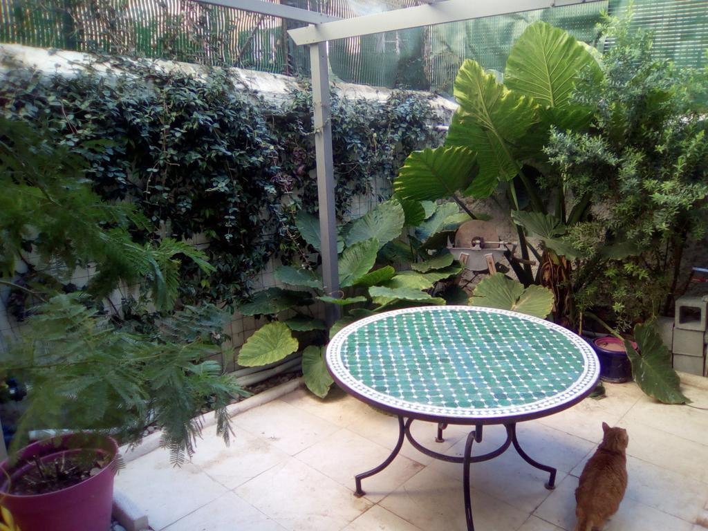 Chambres Et Table D'Hotes Le Jardin De Tesse 土伦 外观 照片